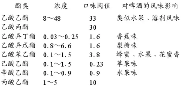 精酿啤酒设备,啤酒厂设备,开办啤酒厂,发酵，锥形罐